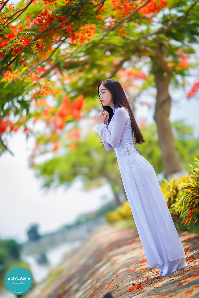 朋友夫妇