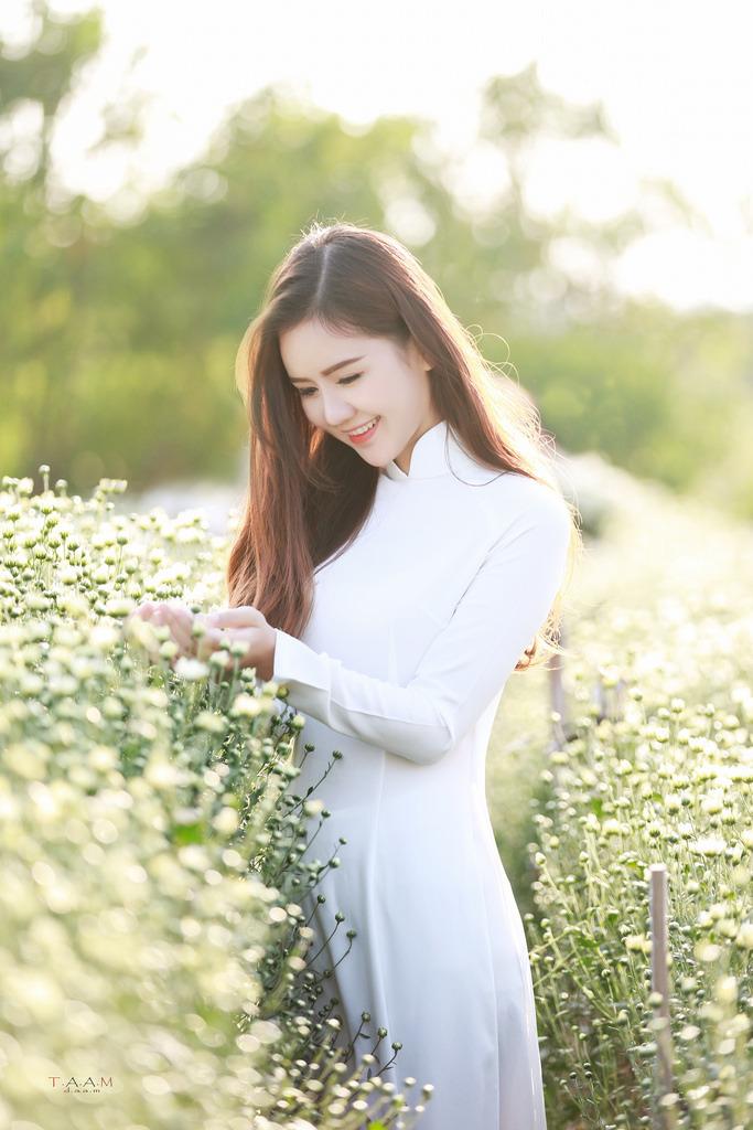 射雕英雄传08版