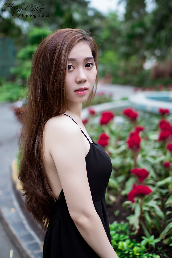 免费在线观看视频a